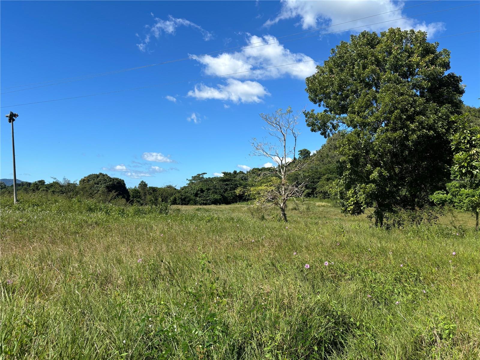 14 PR -146 FRONTON, CIALES - Residential