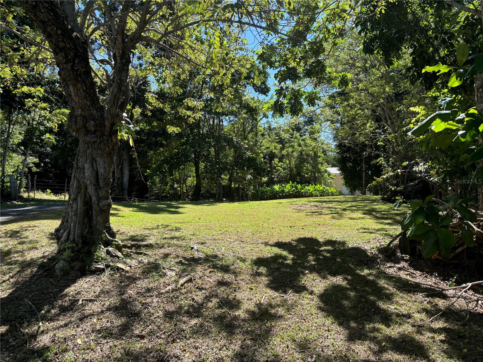 14 PR -146 FRONTON, CIALES - Residential