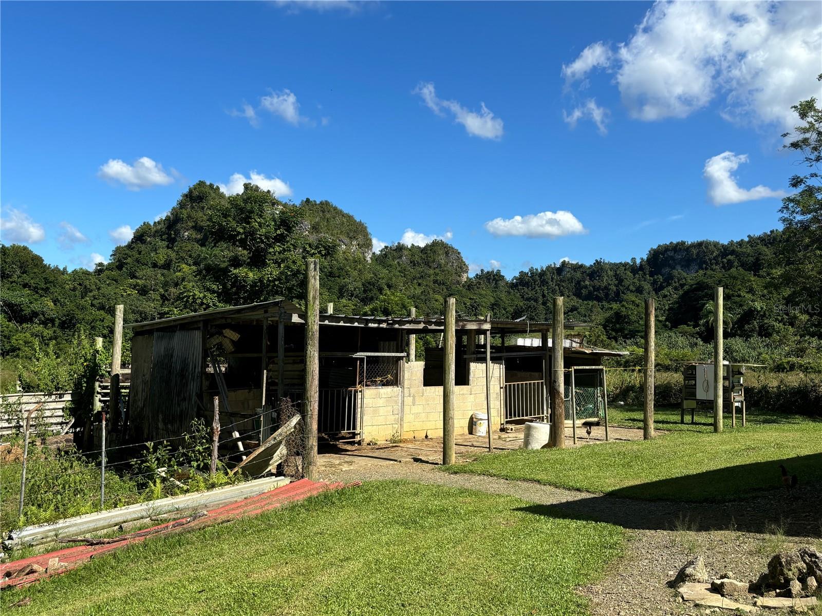 14 PR -146 FRONTON, CIALES - Residential
