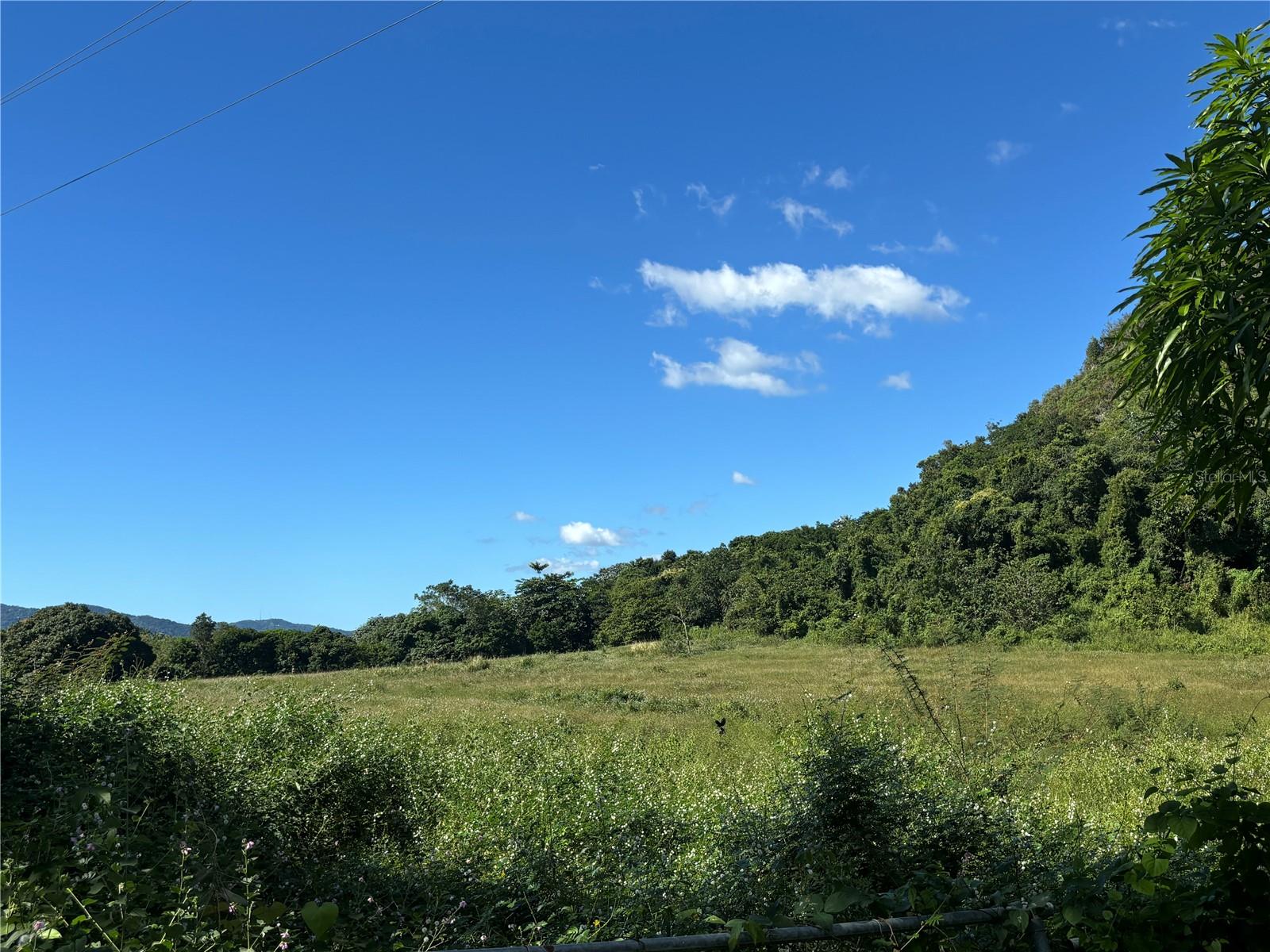 14 PR -146 FRONTON, CIALES - Residential