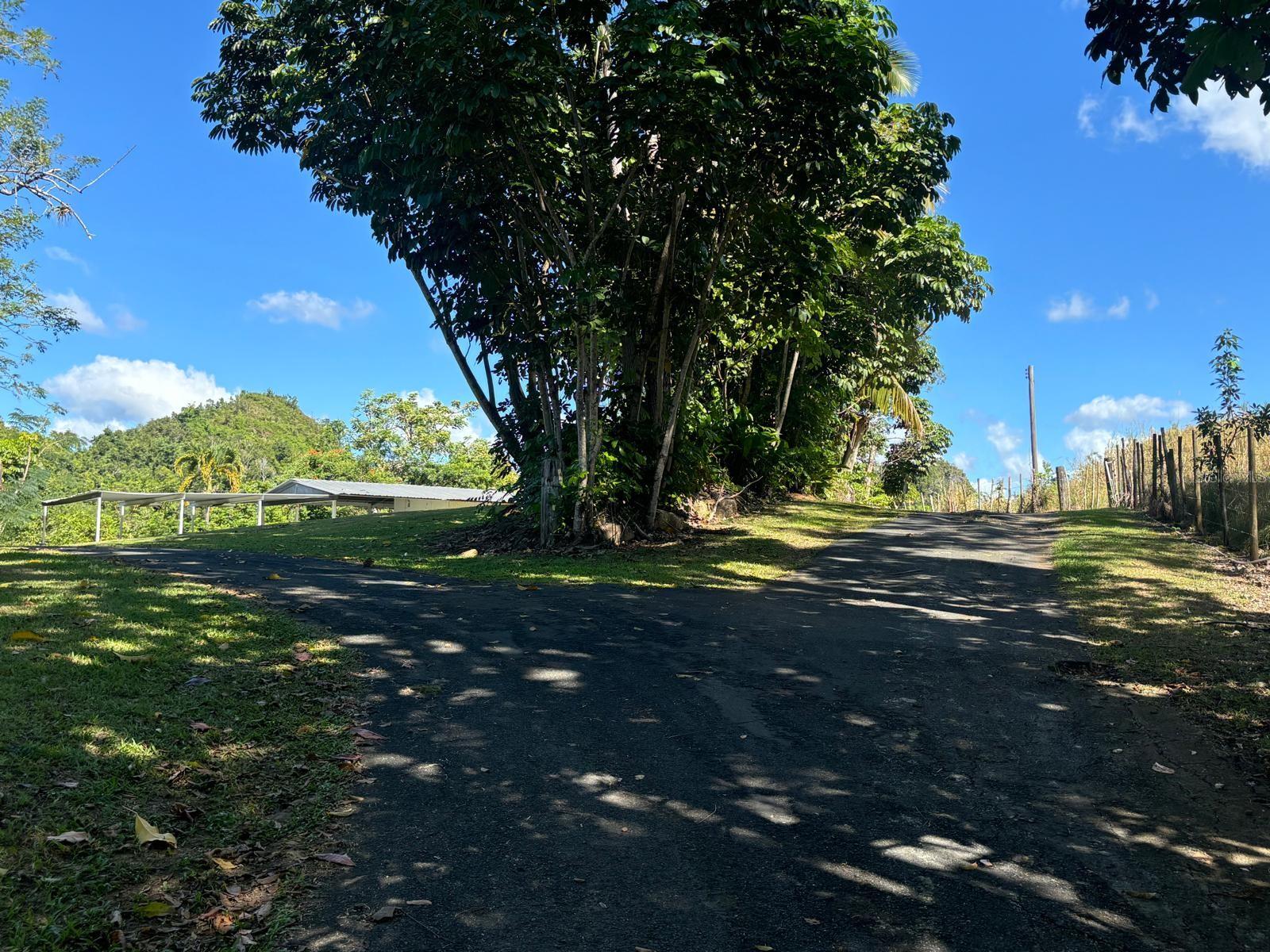 14 PR-146 FRONTON