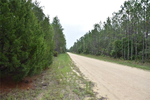 Tiny photo for 8650 NW 136th Avenue, Chiefland, FL 32626 (MLS # OM729452)
