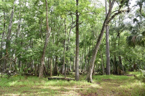 Tiny photo for 8650 NW 136th Avenue, Chiefland, FL 32626 (MLS # OM729452)