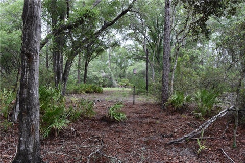Tiny photo for 8650 NW 136th Avenue, Chiefland, FL 32626 (MLS # OM729452)