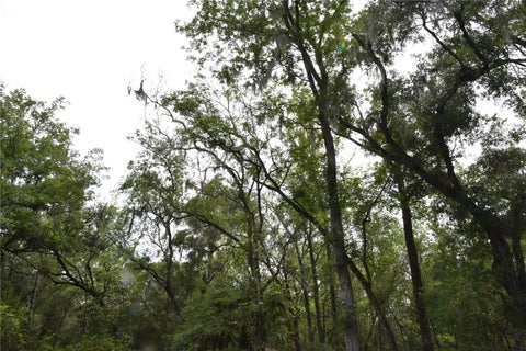 Tiny photo for 8650 NW 136th Avenue, Chiefland, FL 32626 (MLS # OM729452)
