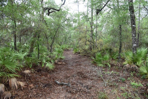 Tiny photo for 8650 NW 136th Avenue, Chiefland, FL 32626 (MLS # OM729452)