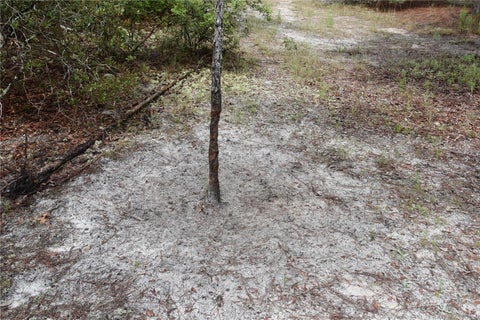 Tiny photo for 8650 NW 136th Avenue, Chiefland, FL 32626 (MLS # OM729452)