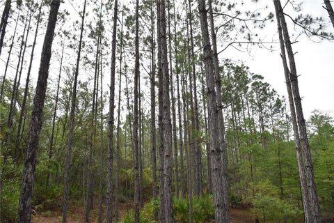 Tiny photo for 8650 NW 136th Avenue, Chiefland, FL 32626 (MLS # OM729452)