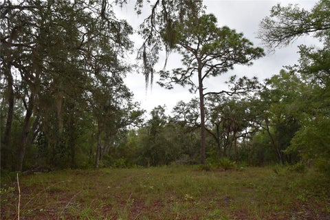 Tiny photo for 8650 NW 136th Avenue, Chiefland, FL 32626 (MLS # OM729452)