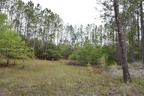 Tiny photo for 8650 NW 136th Avenue, Chiefland, FL 32626 (MLS # OM729452)