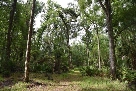 Tiny photo for 8650 NW 136th Avenue, Chiefland, FL 32626 (MLS # OM729452)