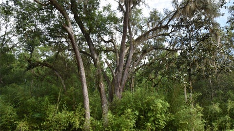 Tiny photo for 8650 NW 136th Avenue, Chiefland, FL 32626 (MLS # OM729452)
