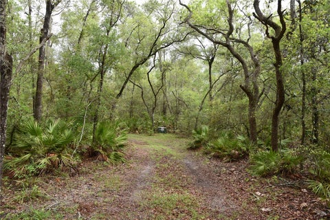 Tiny photo for 8650 NW 136th Avenue, Chiefland, FL 32626 (MLS # OM729452)