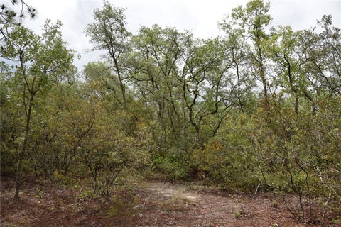 Tiny photo for 8650 NW 136th Avenue, Chiefland, FL 32626 (MLS # OM729452)
