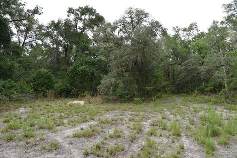 Tiny photo for 8650 NW 136th Avenue, Chiefland, FL 32626 (MLS # OM729452)