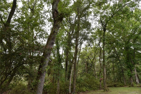 Tiny photo for 8650 NW 136th Avenue, Chiefland, FL 32626 (MLS # OM729452)