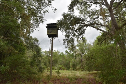 Tiny photo for 8650 NW 136th Avenue, Chiefland, FL 32626 (MLS # OM729452)