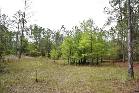 Tiny photo for 8650 NW 136th Avenue, Chiefland, FL 32626 (MLS # OM729452)