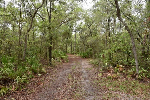 Tiny photo for 8650 NW 136th Avenue, Chiefland, FL 32626 (MLS # OM729452)