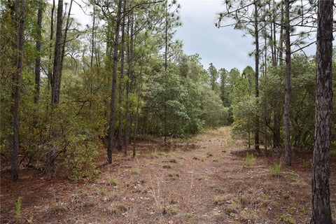 Tiny photo for 8650 NW 136th Avenue, Chiefland, FL 32626 (MLS # OM729452)