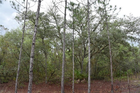 Tiny photo for 8650 NW 136th Avenue, Chiefland, FL 32626 (MLS # OM729452)