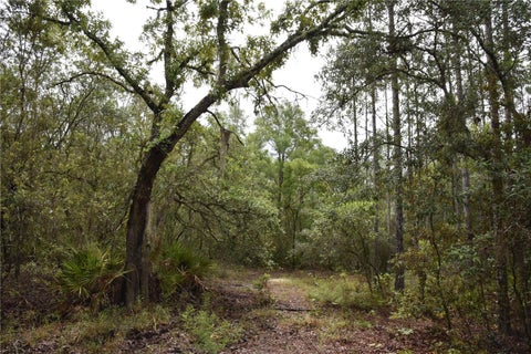 Tiny photo for 8650 NW 136th Avenue, Chiefland, FL 32626 (MLS # OM729452)