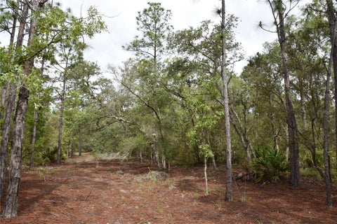 Tiny photo for 8650 NW 136th Avenue, Chiefland, FL 32626 (MLS # OM729452)