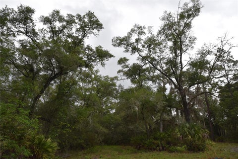 Tiny photo for 8650 NW 136th Avenue, Chiefland, FL 32626 (MLS # OM729452)