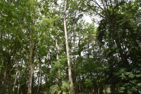 Tiny photo for 8650 NW 136th Avenue, Chiefland, FL 32626 (MLS # OM729452)