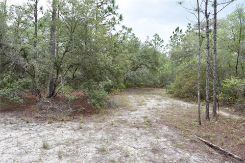Tiny photo for 8650 NW 136th Avenue, Chiefland, FL 32626 (MLS # OM729452)