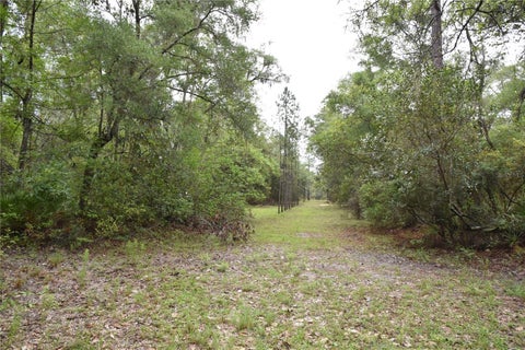 Tiny photo for 8650 NW 136th Avenue, Chiefland, FL 32626 (MLS # OM729452)