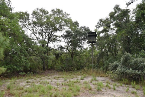 Tiny photo for 8650 NW 136th Avenue, Chiefland, FL 32626 (MLS # OM729452)