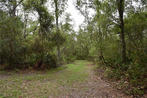 Tiny photo for 8650 NW 136th Avenue, Chiefland, FL 32626 (MLS # OM729452)