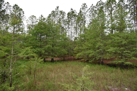 Tiny photo for 8650 NW 136th Avenue, Chiefland, FL 32626 (MLS # OM729452)