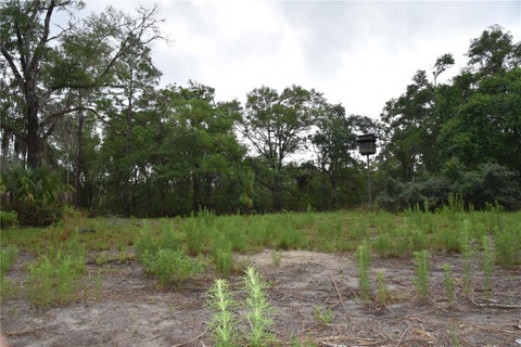 Tiny photo for 8650 NW 136th Avenue, Chiefland, FL 32626 (MLS # OM729452)