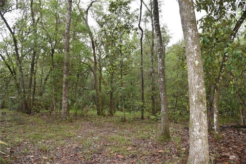 Tiny photo for 8650 NW 136th Avenue, Chiefland, FL 32626 (MLS # OM729452)