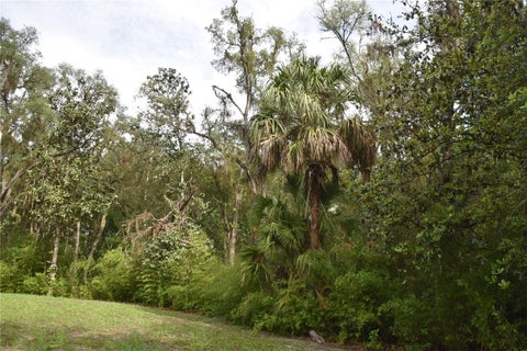 Tiny photo for 8650 NW 136th Avenue, Chiefland, FL 32626 (MLS # OM729452)