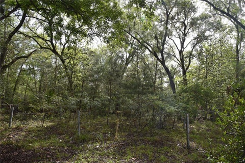 Tiny photo for 8650 NW 136th Avenue, Chiefland, FL 32626 (MLS # OM729452)