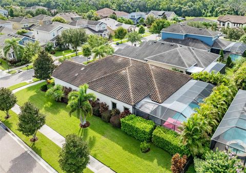 A home in LITHIA