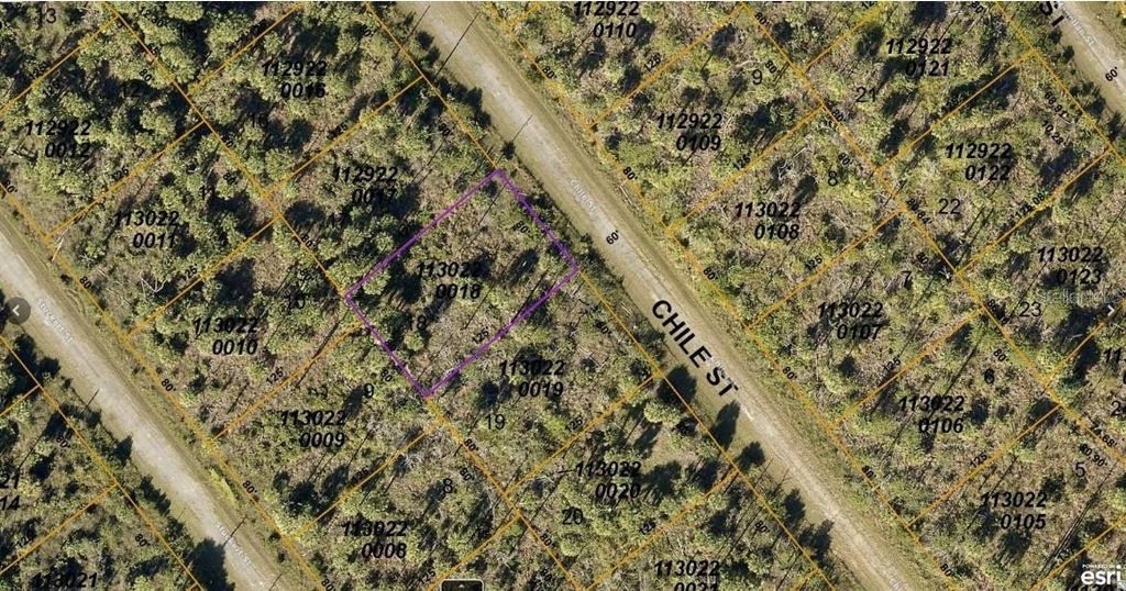 Photo of 1130220018 Chile Street, North Port, FL 34288 (MLS # A4589649)