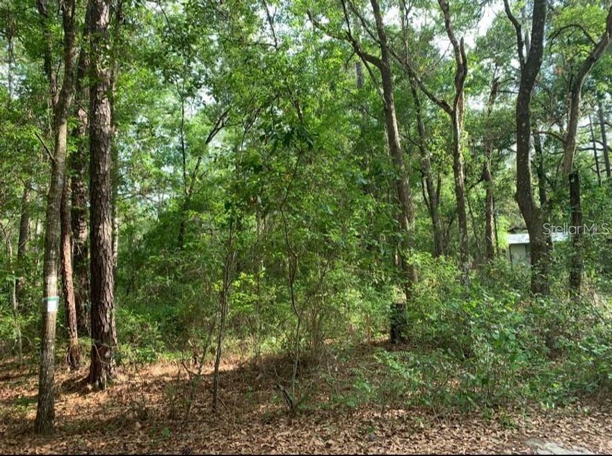 Build your dream getaway in Three Lakes Estates! This R-4 zoned lot allows tiny homes, mobile homes, modular, or site-built construction. Enjoy private beach tract access for swimming, kayaking, and fishing, plus the freedom of no HOA. Setbacks are already defined, making planning easy. Surrounded by Deer Back Lake, Island Lake, and Pegram Lake, this location is perfect for an Airbnb, vacation retreat, or full-time living. A peaceful setting with endless potential.