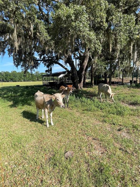 Tiny photo for 12290 SW 484 Highway, Dunnellon, FL 34432 (MLS # S5127838)