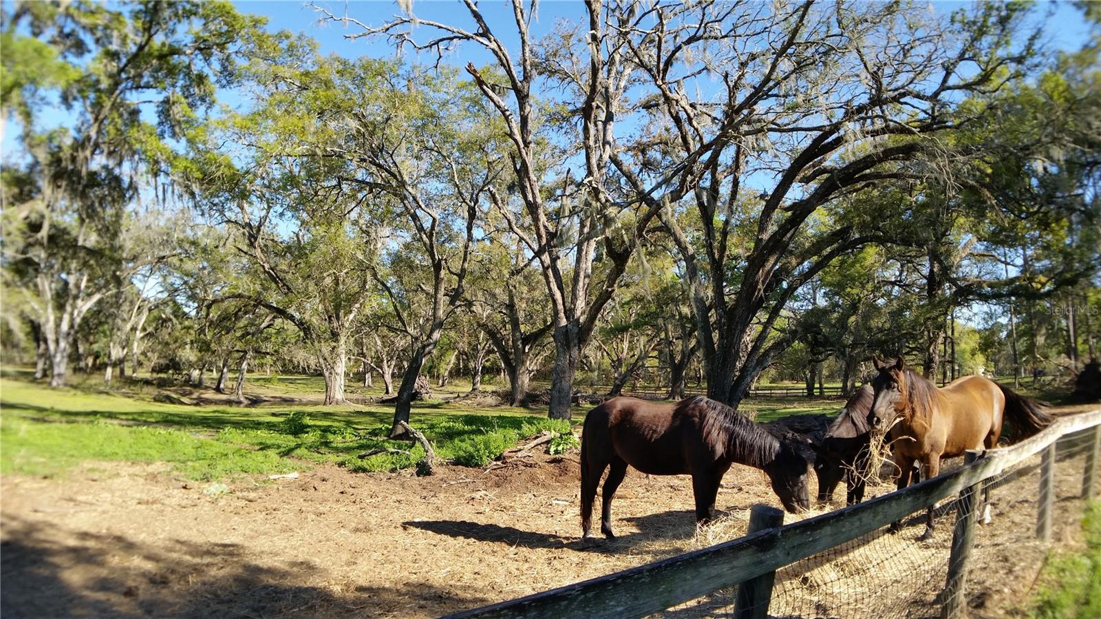METES AND BOUNDS - Residential
