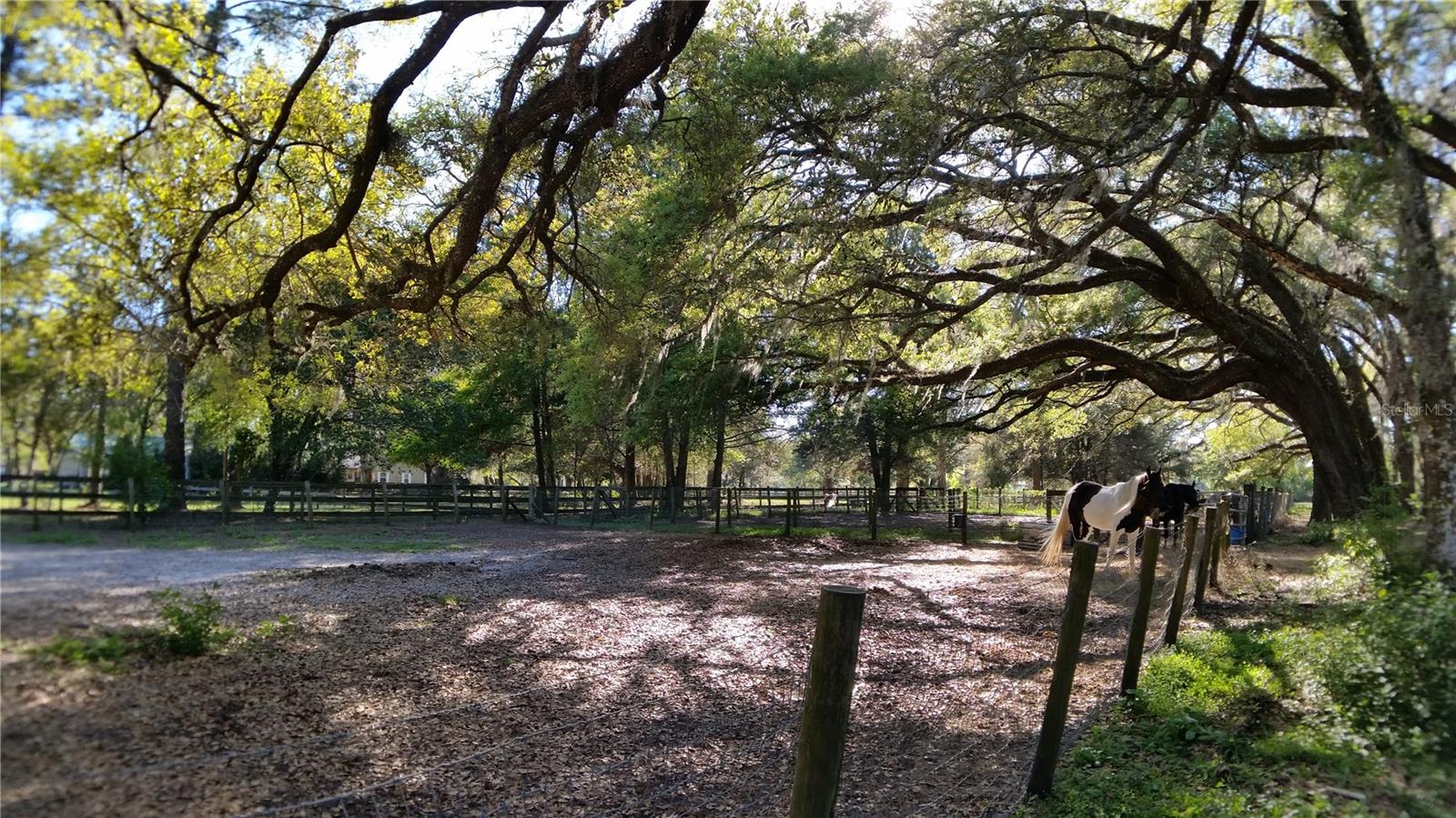 METES AND BOUNDS - Residential