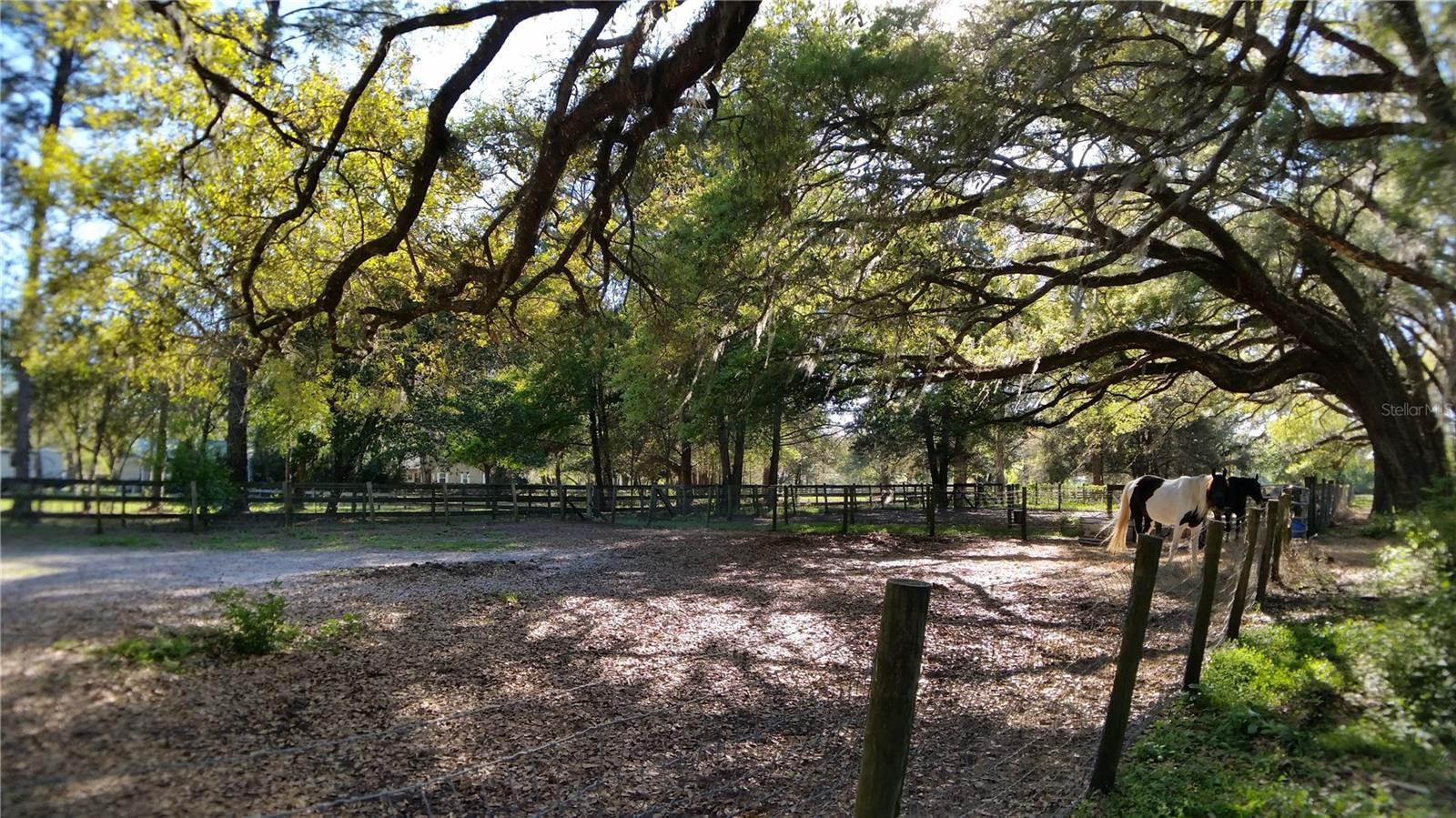 METES AND BOUNDS - Residential