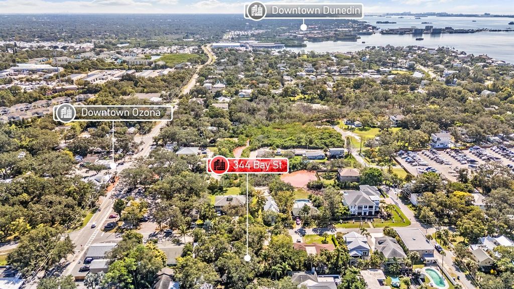 Photo of 344 Bay Street, Palm Harbor, FL 34683 (MLS # TB8443323)