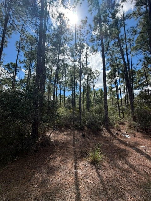 Photo of 421 Amorous Avenue, Lake Placid, FL 33852 (MLS # O6452544)