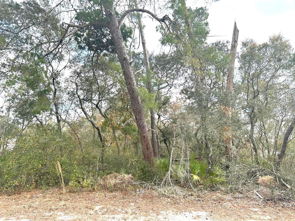 Photo of 0 SW Marion Oaks Golf Road, Ocala, FL 34473 (MLS # OM718654)