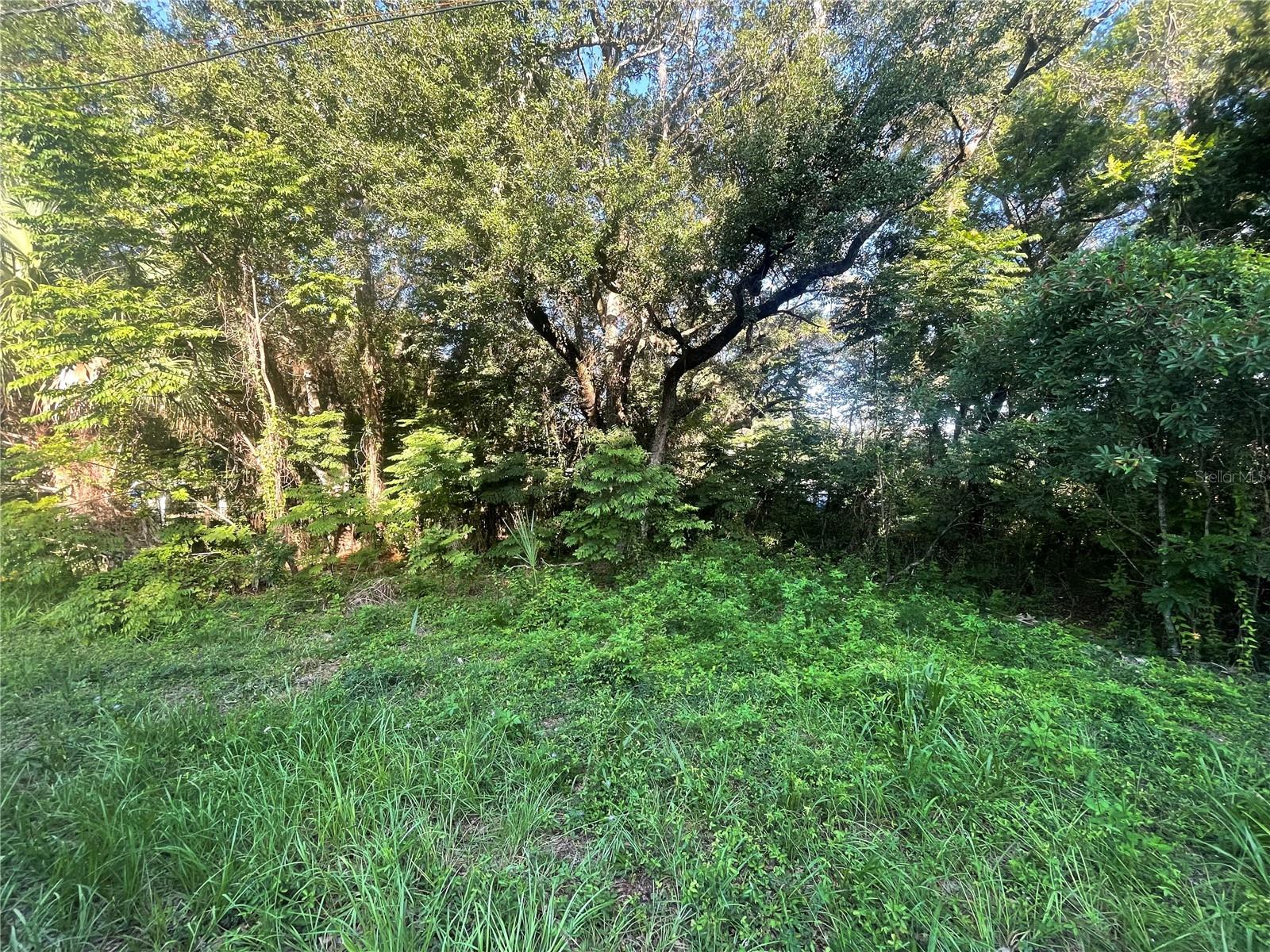 Don't miss out on this wonderful opportunity to own land on a paved road within this well sought out
neighborhood with no HOA or deed restrictions in a prime location with endless potential. Enjoy the privacy
and a sense of community within a few blocks of the water and nearby public boat ramps, downtown,
restaurants and shopping. Site Plans, and Survey available for an additional 3000.00 dollars.