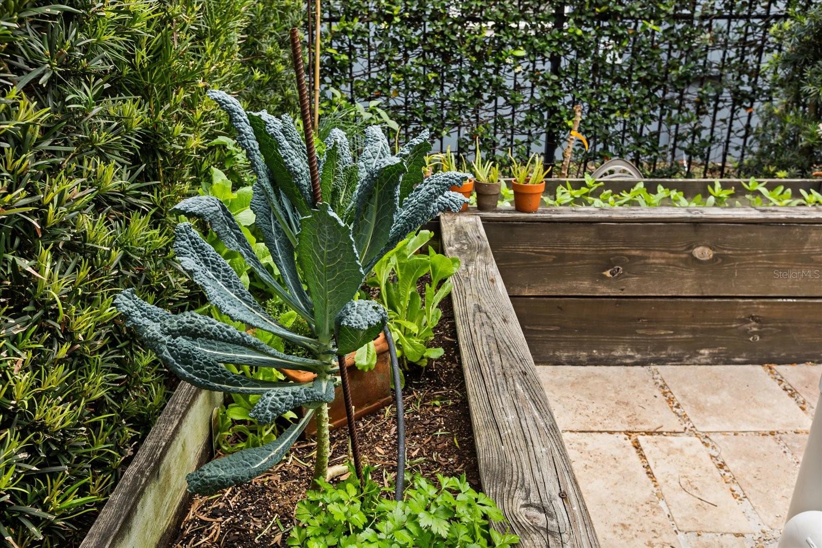 BALDWIN PARK - Residential